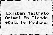 Exhiben Maltrato Animal En Tienda +<b>Kota</b> De Pachuca