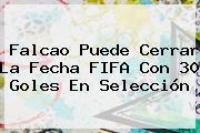 Falcao Puede Cerrar La Fecha FIFA Con 30 Goles En <b>Selección</b>