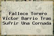 Fallece Torero <b>Víctor Barrio</b> Tras Sufrir Una Cornada