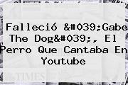 Falleció '<b>Gabe The Dog</b>', El Perro Que Cantaba En Youtube
