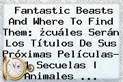 <b>Fantastic Beasts And Where To Find Them</b>: ¿cuáles Serán Los Títulos De Sus Próximas Películas? | Secuelas | Animales ...