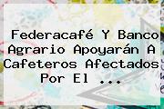 Federacafé Y <b>Banco Agrario</b> Apoyarán A Cafeteros Afectados Por El <b>...</b>