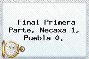 Final Primera Parte, <b>Necaxa</b> 1, <b>Puebla</b> 0.