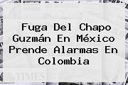 Fuga Del <b>Chapo Guzmán</b> En México Prende Alarmas En Colombia