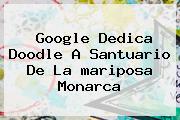 Google Dedica Doodle A Santuario De La <b>mariposa Monarca</b>