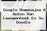 Google Homenajea A <b>Anton Van Leeuwenhoek</b> En Su Doodle