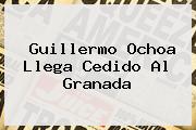<b>Guillermo Ochoa</b> Llega Cedido Al Granada