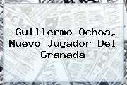 <b>Guillermo Ochoa</b>, Nuevo Jugador Del Granada