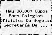 Hay 90.800 Cupos Para Colegios Oficiales De Bogotá: <b>Secretaría De</b> <b>...</b>