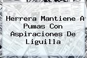 Herrera Mantiene A <b>Pumas</b> Con Aspiraciones De Liguilla