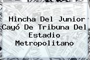 Ver hincha del junior cayo de tribuna del estadio metropolitano Hincha Del <b>Junior</b> Cayó De Tribuna Del Estadio Metropolitano