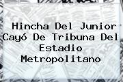 Hincha Del <b>Junior</b> Cayó De Tribuna Del Estadio Metropolitano