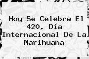 Hoy Se Celebra El <b>420</b>, Día Internacional De La Marihuana