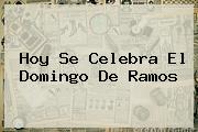 Hoy Se Celebra El <b>Domingo De Ramos</b>