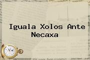 Iguala Xolos Ante <b>Necaxa</b>