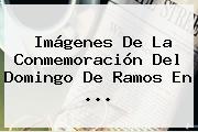 Imágenes De La Conmemoración Del <b>Domingo De Ramos</b> En ...
