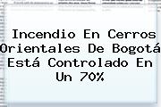 <b>Incendio</b> En Cerros Orientales De <b>Bogotá</b> Está Controlado En Un 70%