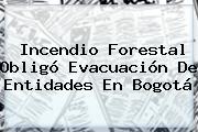 <b>Incendio</b> Forestal Obligó Evacuación De Entidades En <b>Bogotá</b>