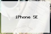 <b>iPhone SE</b>