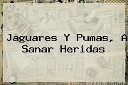 Jaguares Y <b>Pumas</b>, A Sanar Heridas
