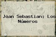 <b>Joan Sebastian</b>: Los Números