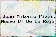 <b>Juan Antonio Pizzi</b>, Nuevo DT De La Roja