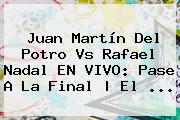 Juan Martín Del Potro Vs <b>Rafael Nadal</b> EN VIVO: Pase A La Final | El ...