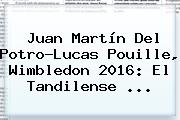 Juan Martín Del Potro-Lucas Pouille, <b>Wimbledon</b> 2016: El Tandilense ...