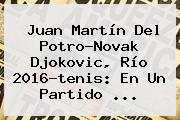 Juan Martín Del Potro-Novak <b>Djokovic</b>, Río 2016-tenis: En Un Partido ...