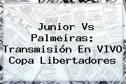 <b>Junior Vs Palmeiras</b>: Transmisión En VIVO Copa Libertadores