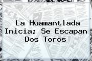 La <b>Huamantlada</b> Inicia; Se Escapan Dos Toros