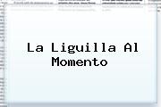 <i>La Liguilla Al Momento</i>