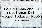 La ONU Condena El Asesinato Del Fotoperiodista <b>Rubén Espinosa</b>