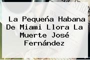 La Pequeña Habana De Miami Llora La Muerte <b>José Fernández</b>