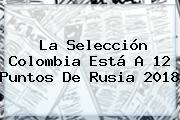 La <b>Selección Colombia</b> Está A 12 Puntos De Rusia 2018