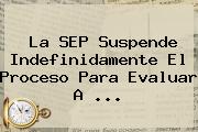 La <b>SEP</b> Suspende Indefinidamente El Proceso Para Evaluar A <b>...</b>