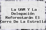 La <b>UAM</b> Y La Delegación Reforestarán El Cerro De La Estrella