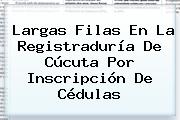 Largas Filas En La <b>Registraduría</b> De Cúcuta Por Inscripción De Cédulas