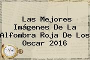 Las Mejores Imágenes De La Alfombra Roja De Los <b>Oscar 2016</b>