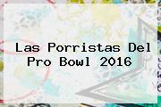 Las Porristas Del <b>Pro Bowl 2016</b>