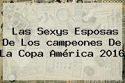 Las Sexys Esposas De Los <b>campeones</b> De La <b>Copa América 2016</b>