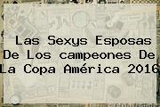 Ver las sexys esposas de los campeones de la copa america 2016 Las Sexys Esposas De Los <b>campeones</b> De La <b>Copa América 2016</b>