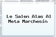 Le Salen Alas Al Meta <b>Marchesín</b>