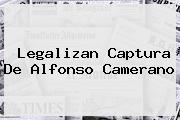 <b>Legalizan Captura De Alfonso Camerano</b>