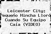 <b>Leicester City</b>: Pequeño Hincha Lloró Cuando Su Equipo Caía (VIDEO)