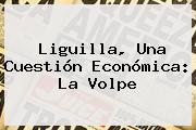 <b>Liguilla</b>, Una Cuestión Económica: La Volpe
