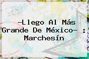 ?Llego Al Más Grande De México? : <b>Marchesín</b>
