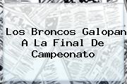 Los <b>Broncos</b> Galopan A La Final De Campeonato