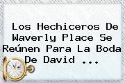 Los Hechiceros De Waverly Place Se Reúnen Para La Boda De <b>David</b> ...