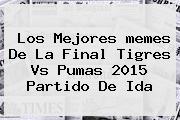 Los Mejores <b>memes</b> De La Final <b>Tigres Vs Pumas</b> 2015 Partido De Ida